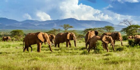 Afrika, een schitterend en avontuurlijk continent
