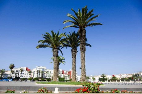 Al Hoceima