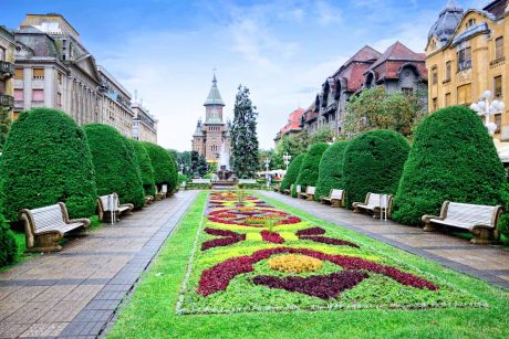 Timisoara