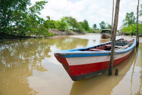 De binnenlanden van Suriname