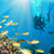 Vliegtickets naar: Hurghada Hurghada