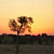 Vliegtickets naar: Johannesburg Johannesburg
