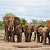 Vliegtickets naar: Nairobi Nairobi